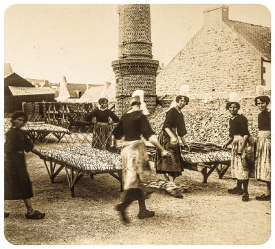  Les sardinires  l'usine Tirot