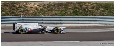2 - Sauber C29 F1 (2010)