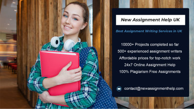 New Assignment Help