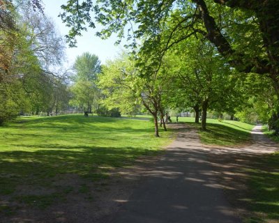 190421-8834.jpg