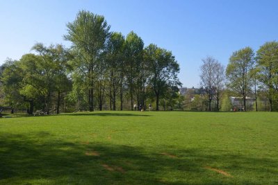190421-8835.jpg