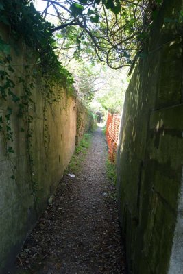 190421-8854.jpg