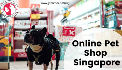Online Pet Shop Singapore1.jpg
