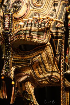 Mask 5