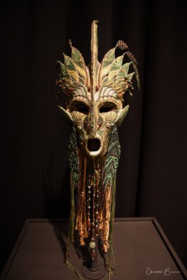 Mask2F