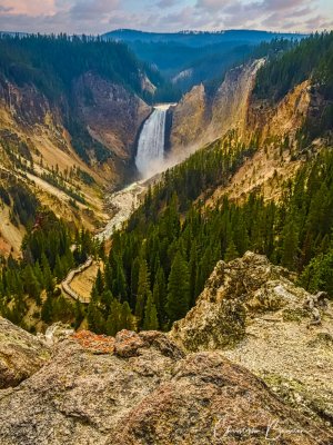 Lower Falls Yellowstone National Park