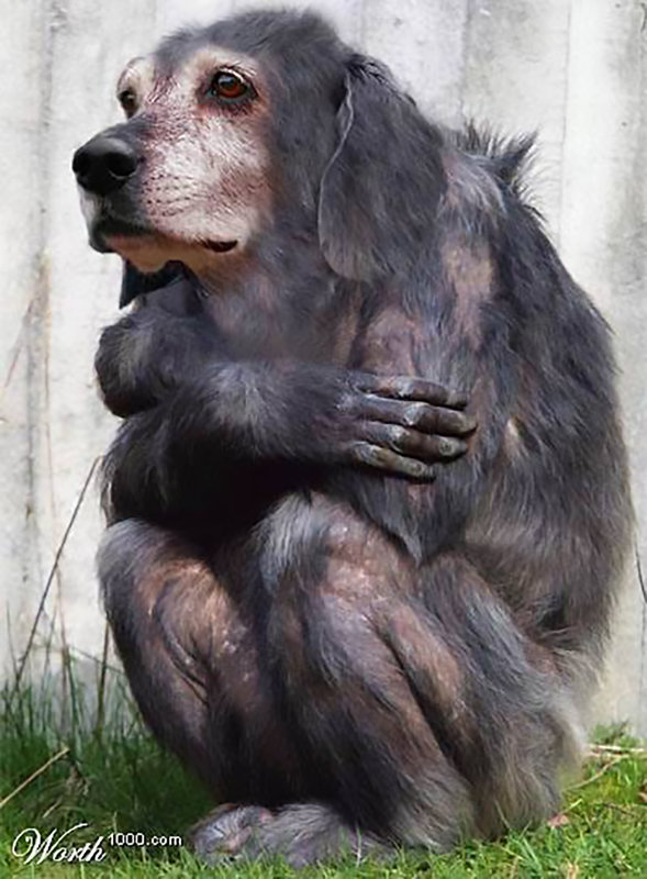 CLEVELAND ZOO DNA EXPERIMENTAL PROGRAM