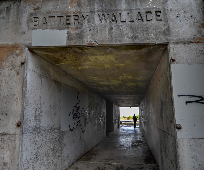 Battery Wallace