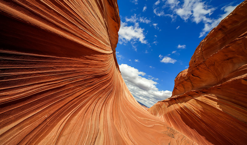 Coyote Buttes 2010