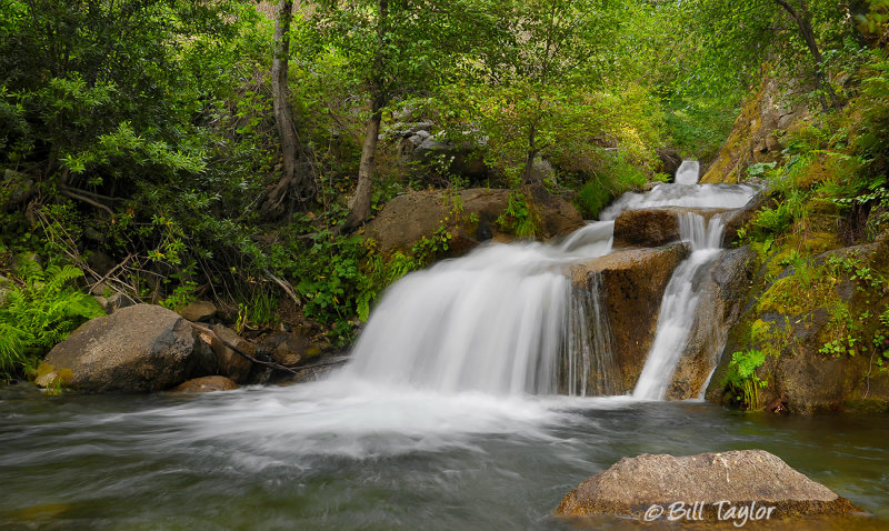 Lower Bear Creek Falls