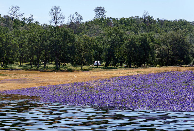 Folsom Lake 