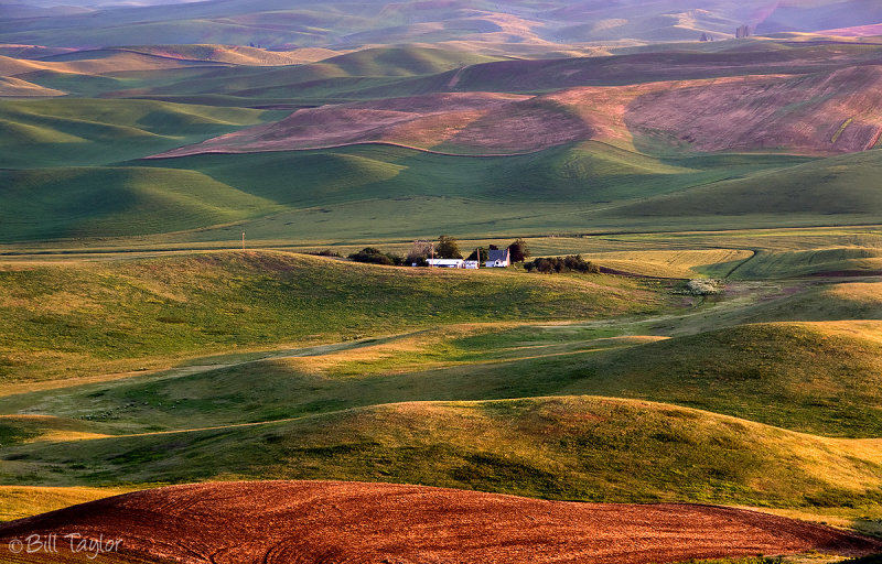 Palouse 2006