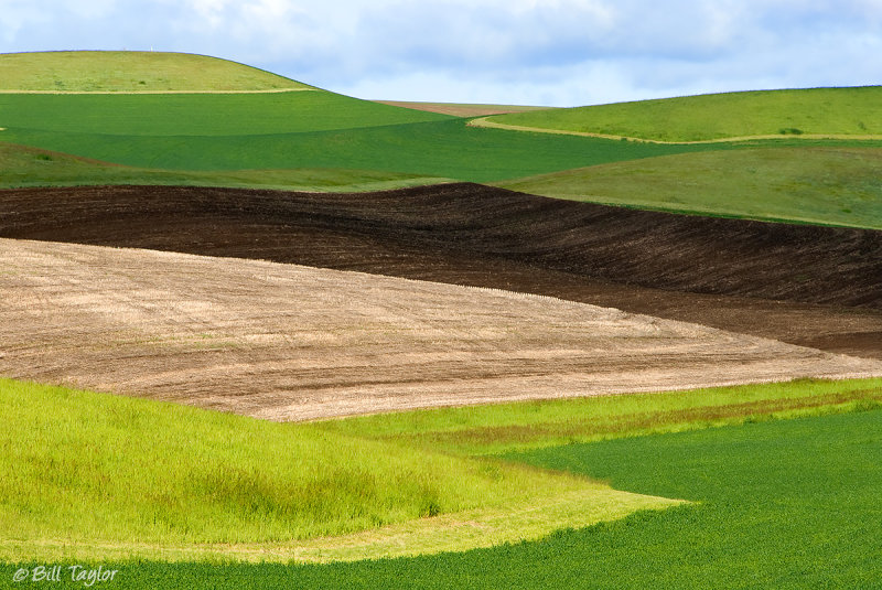 Palouse 2006