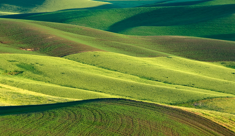 Palouse 2006