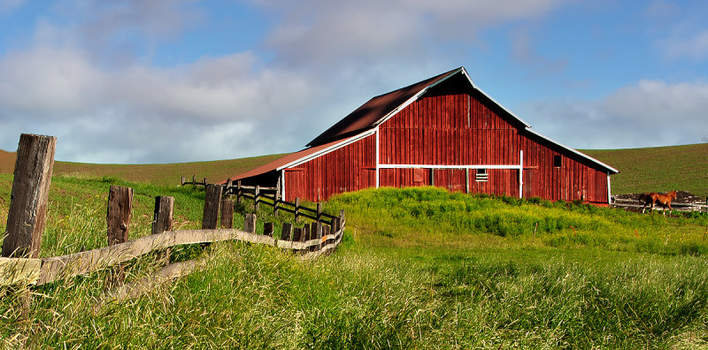 Palouse 2006