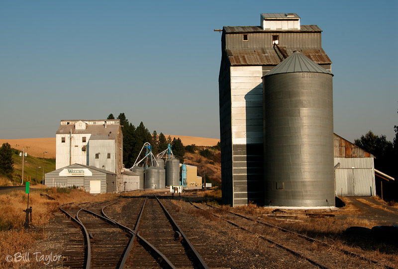 Palouse 2006