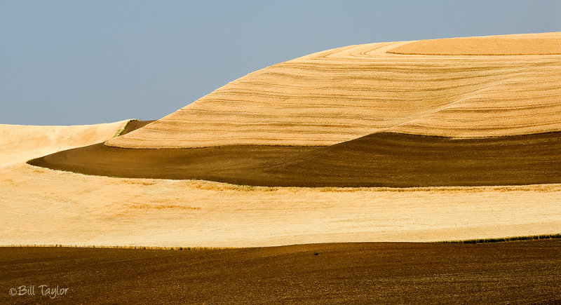 Palouse 2006