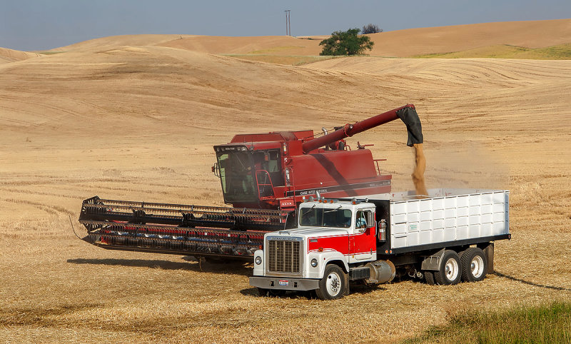 Palouse 2006