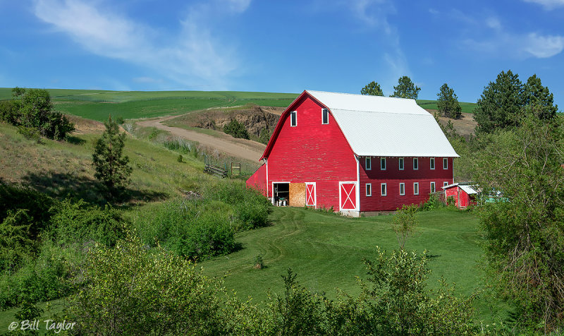 Palouse 2013