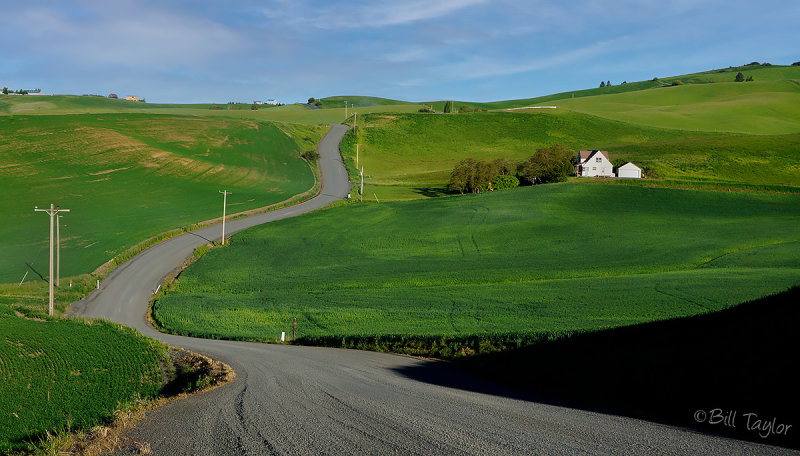 Palouse 2013