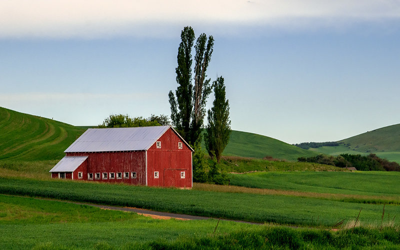 Palouse 2013