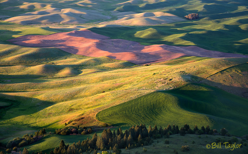 Steptoe Butte