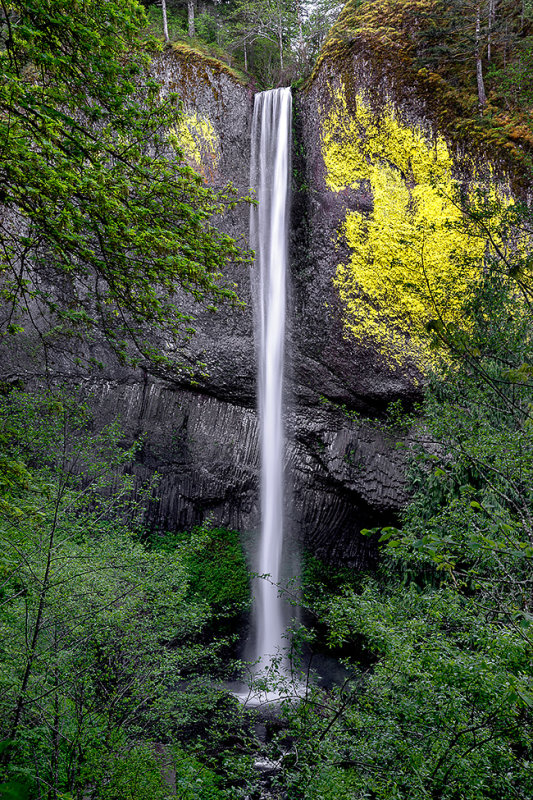 Latourell Falls