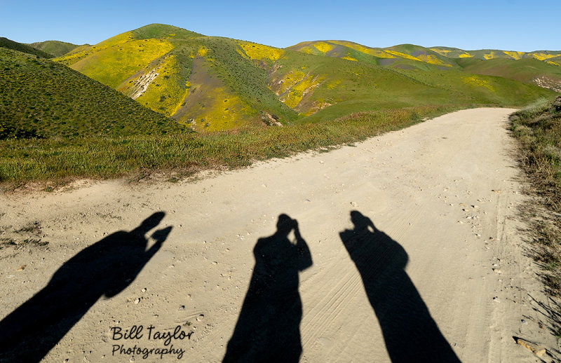 Carrizo Plain