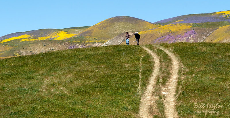 Carrizo Plain