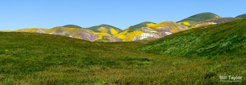 Carrizo Plain