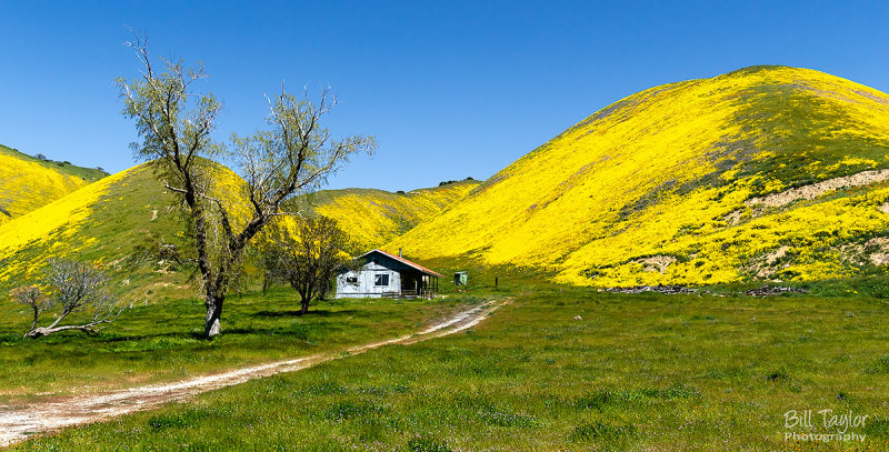 Carrizo Plain