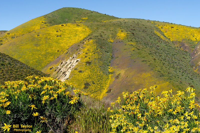 Carrizo Plain