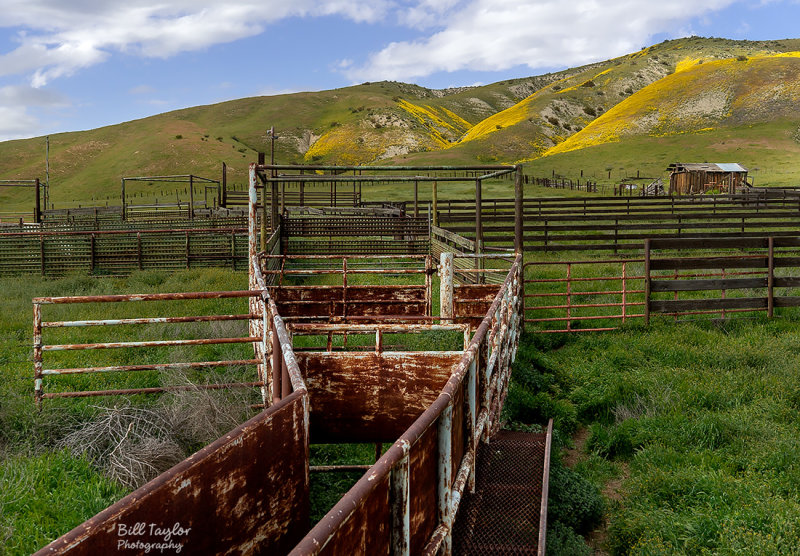 Carrizo Plain