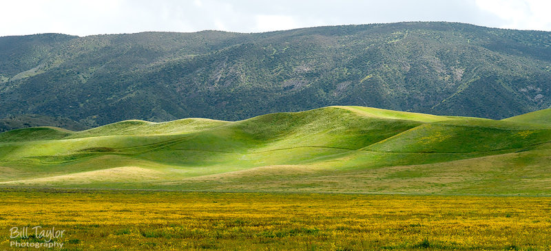 Carrizo Plain