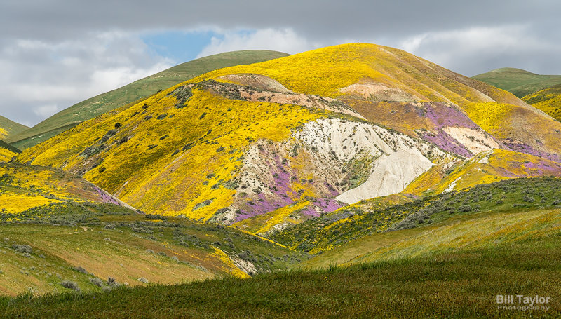 Carrizo Plain