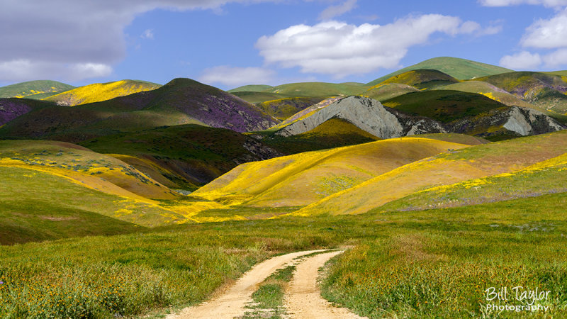 Carrizo Plain