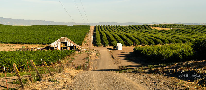 Back Roads