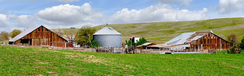 Esparto