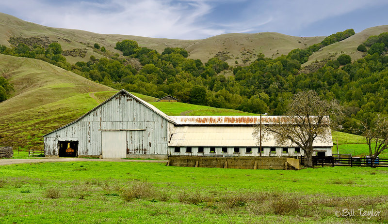 Marin County