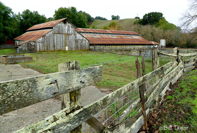 Marin County