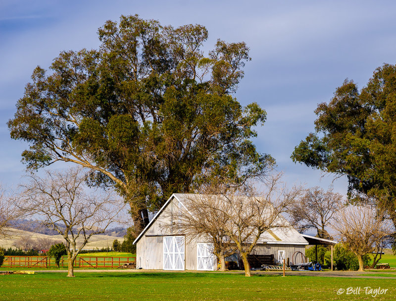 Esparto