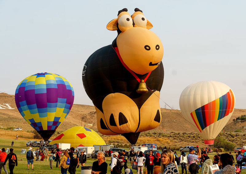 The Great Reno Balloon Race 2022