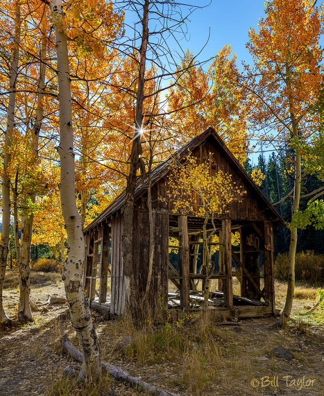 Martis Creek Cabin