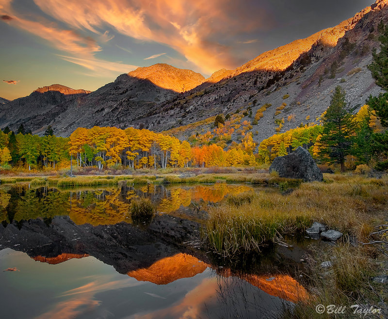 Beaver Pond