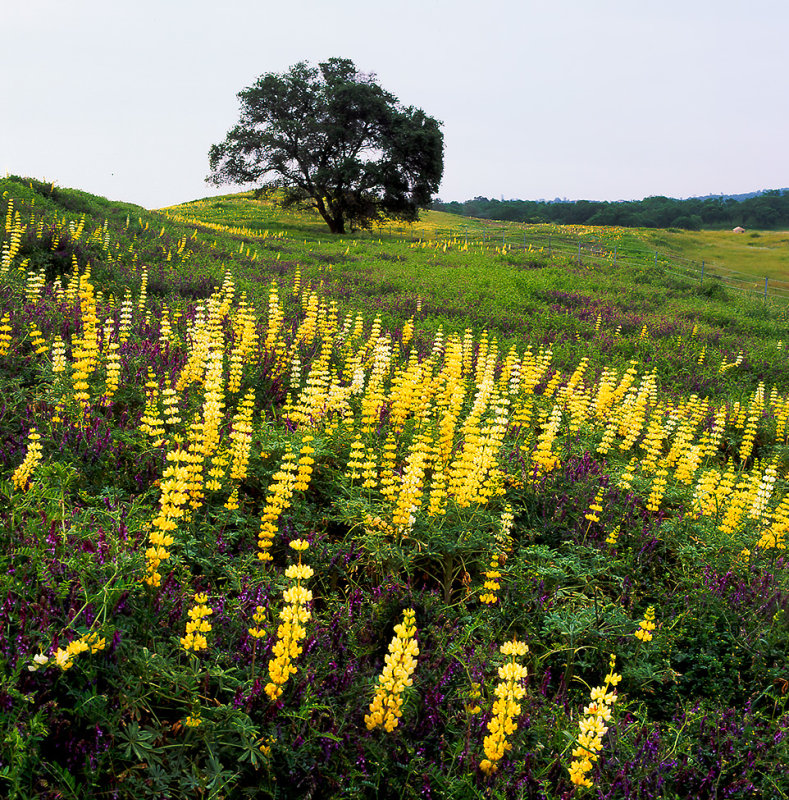 Along Hwy 16