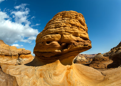 Coyote Buttes 2010