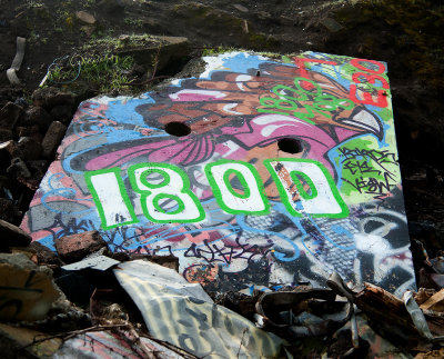 Albany Bulb 2011