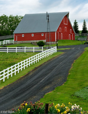 Palouse 2006