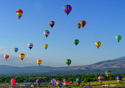 Reno Balloon Race 2021