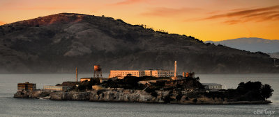 Alcatraz Island